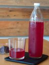 Picture of Hibiscus Kombucha