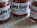 Picture of Yume Boshi Umeboshi Salty Plums 9oz.