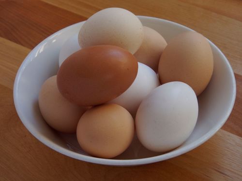 Picture of Burroughs Pastured Pullet Eggs 