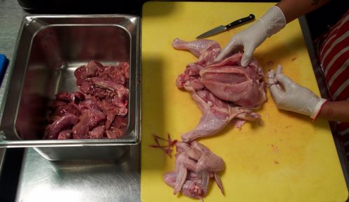 Picture of POSTPONED. Chicken Deboning 101 + Lunch  (3/17/18), 9:30am - 1pm (Traditional Diets lecture not included)