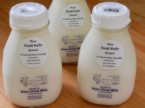 Picture of Evergreen Acres Goat Milk Kefir "Goatgurt"