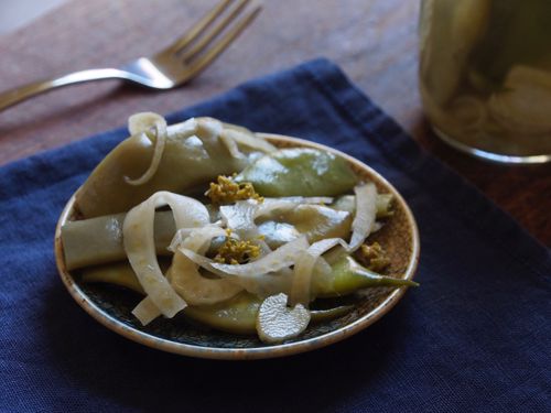 Picture of Pickled Romano Beans with Fennel