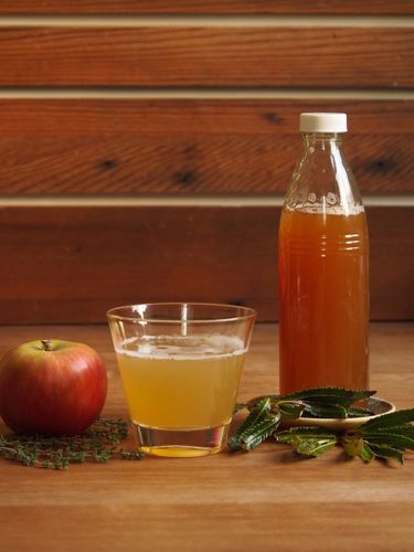 Picture of Apple Herb Shrub