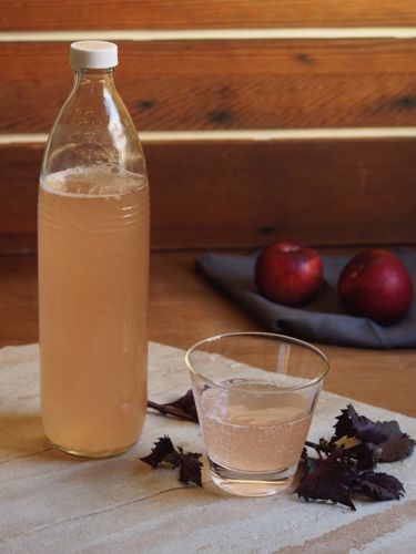 Picture of Shiso Stone Fruit Kombucha