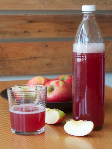 Picture of NATURAL GROCERY ONLY - 330 ml Cranberry Apple Kefir