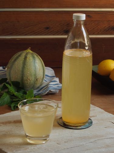 Picture of Lemon Balm Melon Kombucha