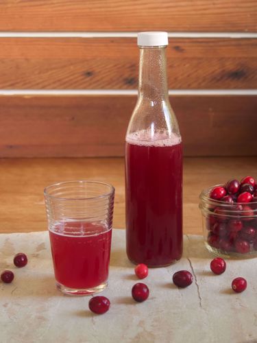 Picture of Cranberry Shrub