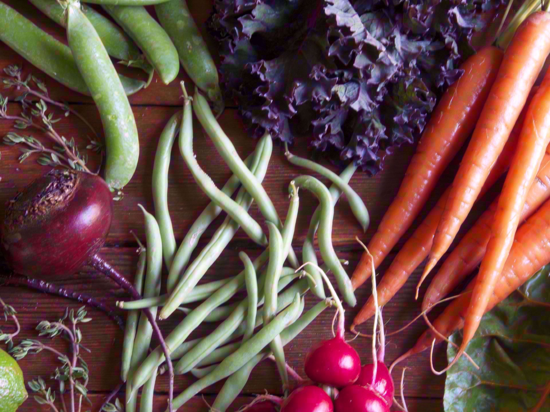 Picture of Five-Week Real Food Cleanse 9/27/25 - 10/25/25  10-11:30am